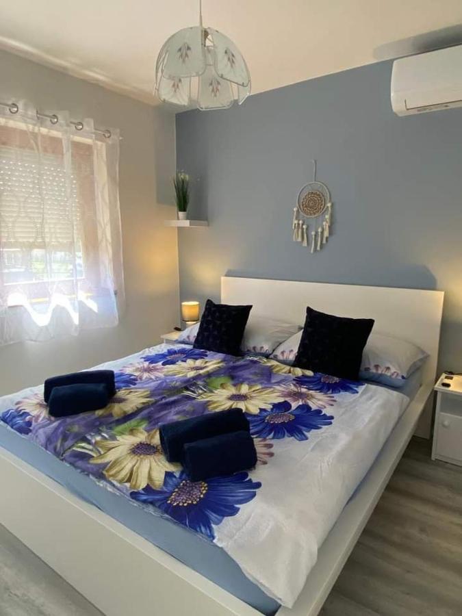 Helena Apartman تشيرستوموي المظهر الخارجي الصورة